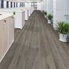 Lucida Surfaces LUCIDA SURFACES, GlueCore Thunder Sky 7 5/16 in. x48 in. 3mm 22MIL Glue Down Luxury Vinyl Planks , 16PK GC-315